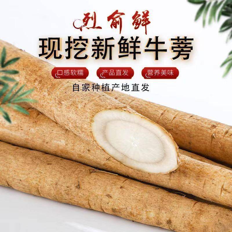 原创            徐州牛蒡根：解锁健康饮食新密码的“地下人参”