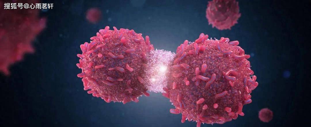 原创            中成药：养正消积胶囊，金龙胶囊，复方斑蝥胶囊