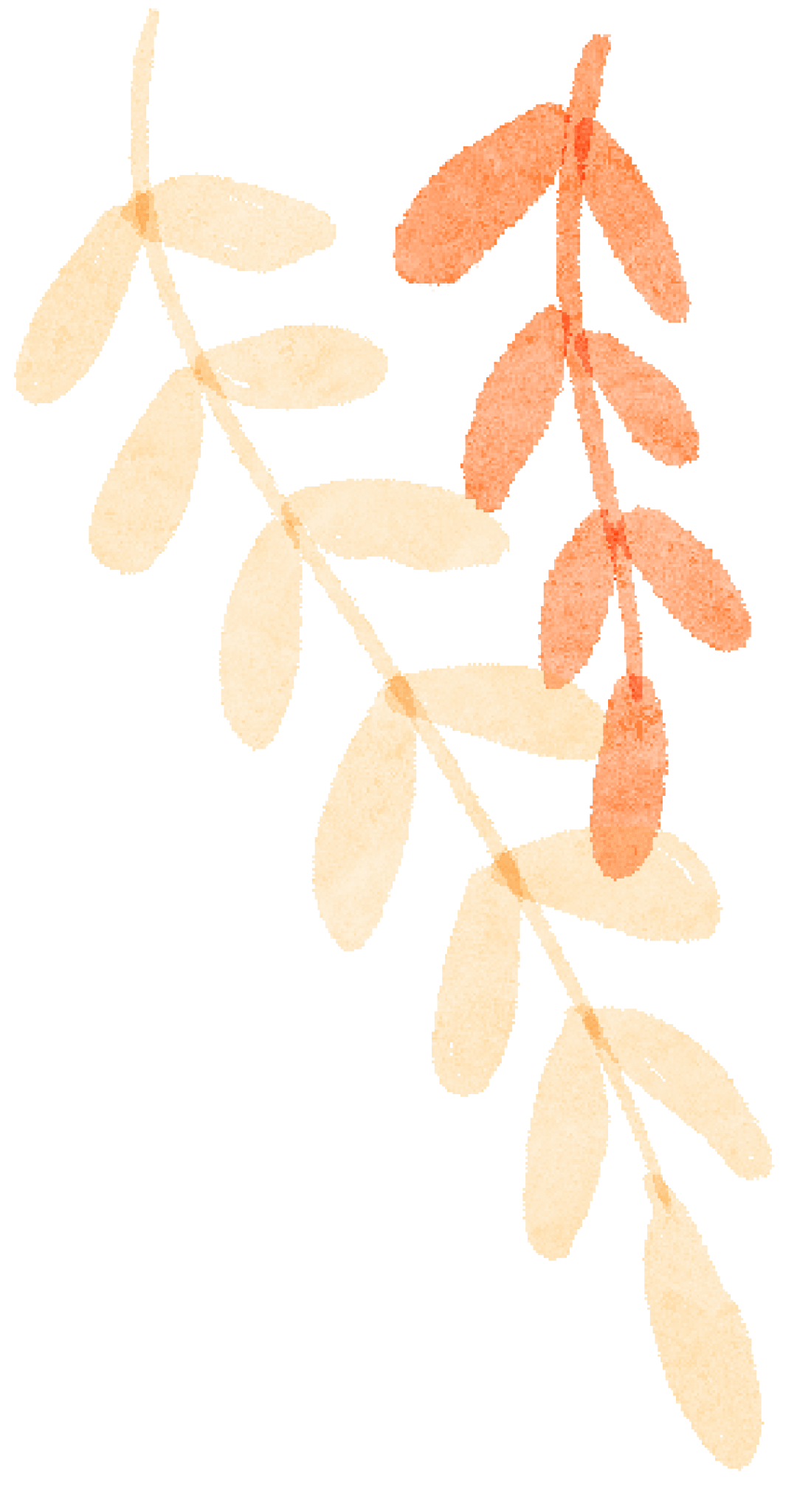 出伏！“伏茶”你喝对了吗？
