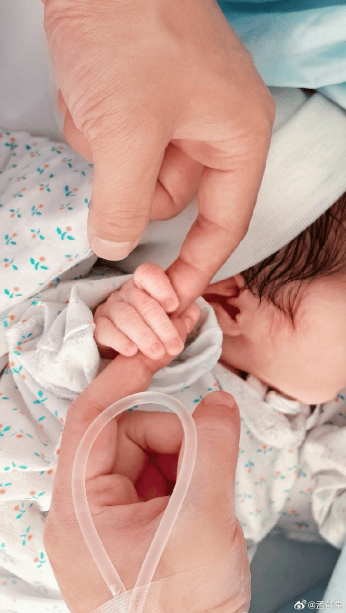 德云社孟鹤堂官宣当爸，与妻子因买马结缘