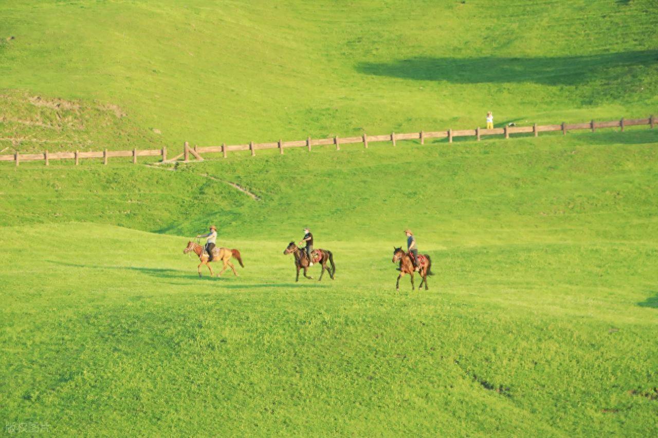 最高级的养生方式：断念想