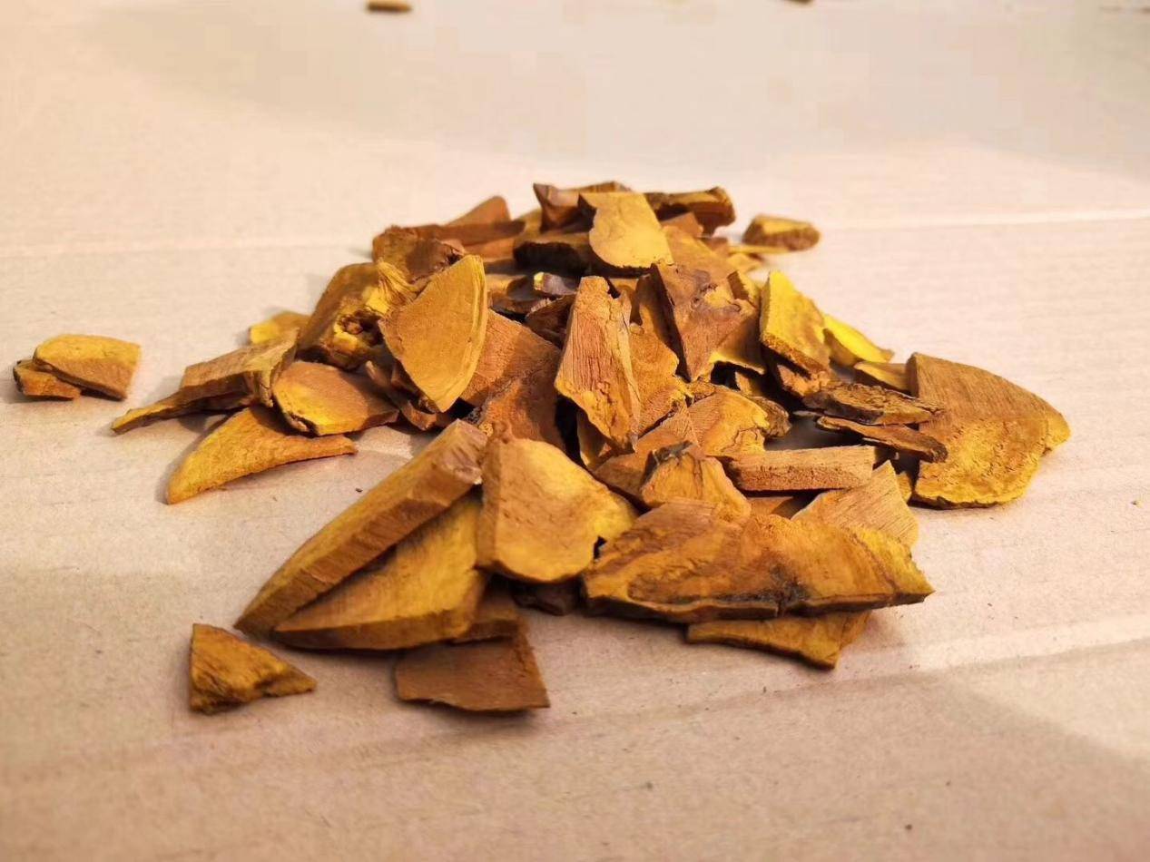 桑黄提取物对甲状腺癌细胞增殖的抑制作用