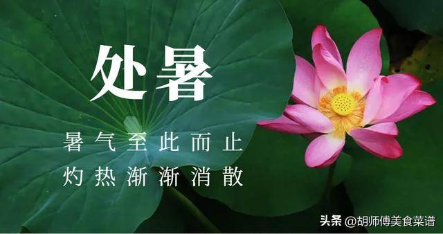 明天处暑，建议大家：少吃鸡肉和羊肉，多吃4样，为秋冬储满能量