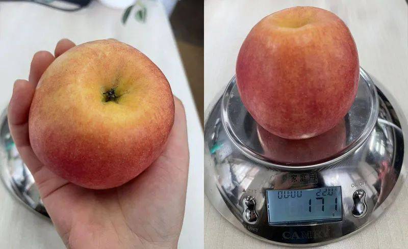 卫健委推荐糖尿病患者饿了吃这12种控糖零食