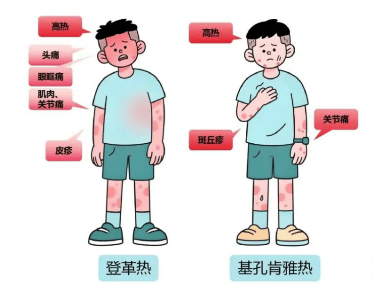疾控发布：8月防病提醒