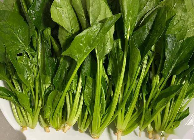 原创            叶酸是苹果的21倍，建议中老年：隔天吃一次，抗衰老，对心血管好