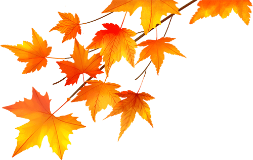 【健康科普】警惕胃癌：早预防、早发现、早治疗，守护你的 “胃” 健康