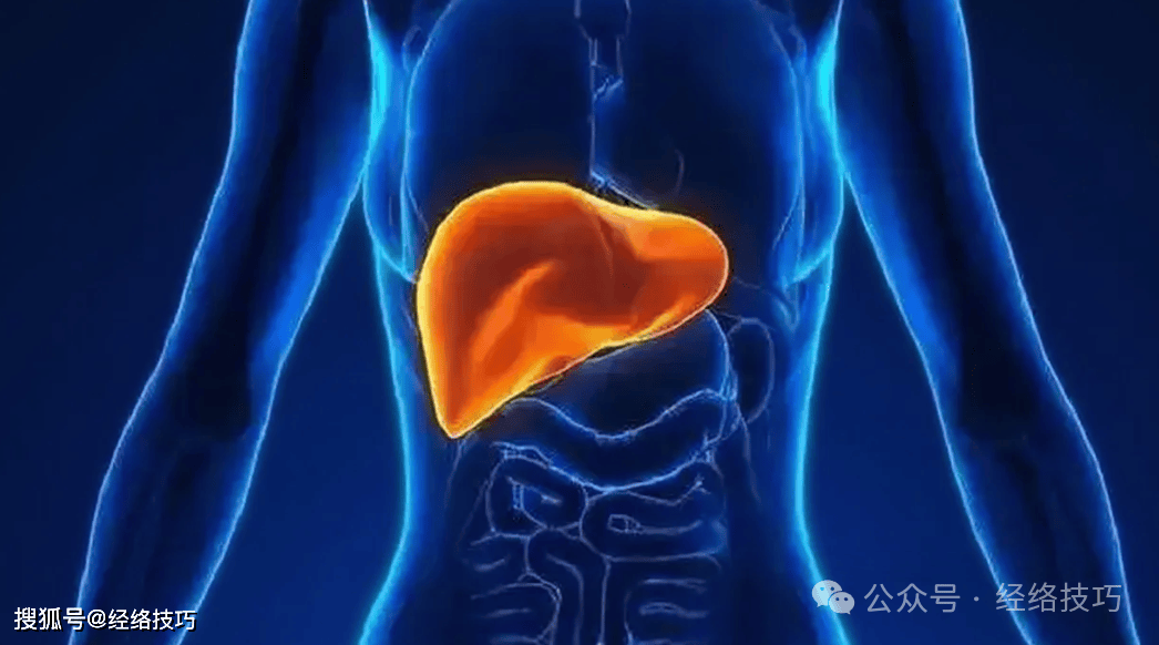 原创            肝经气血不畅，这些部位按压有“信号”