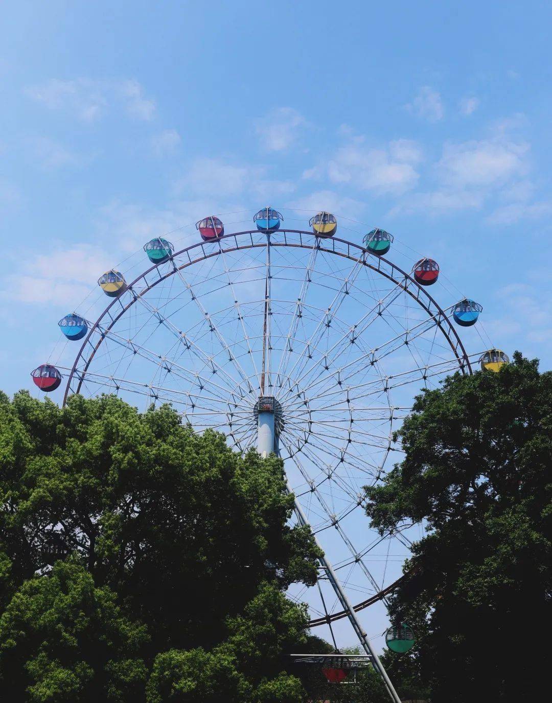 夏季防蚊灭蚊健康指引—公园篇