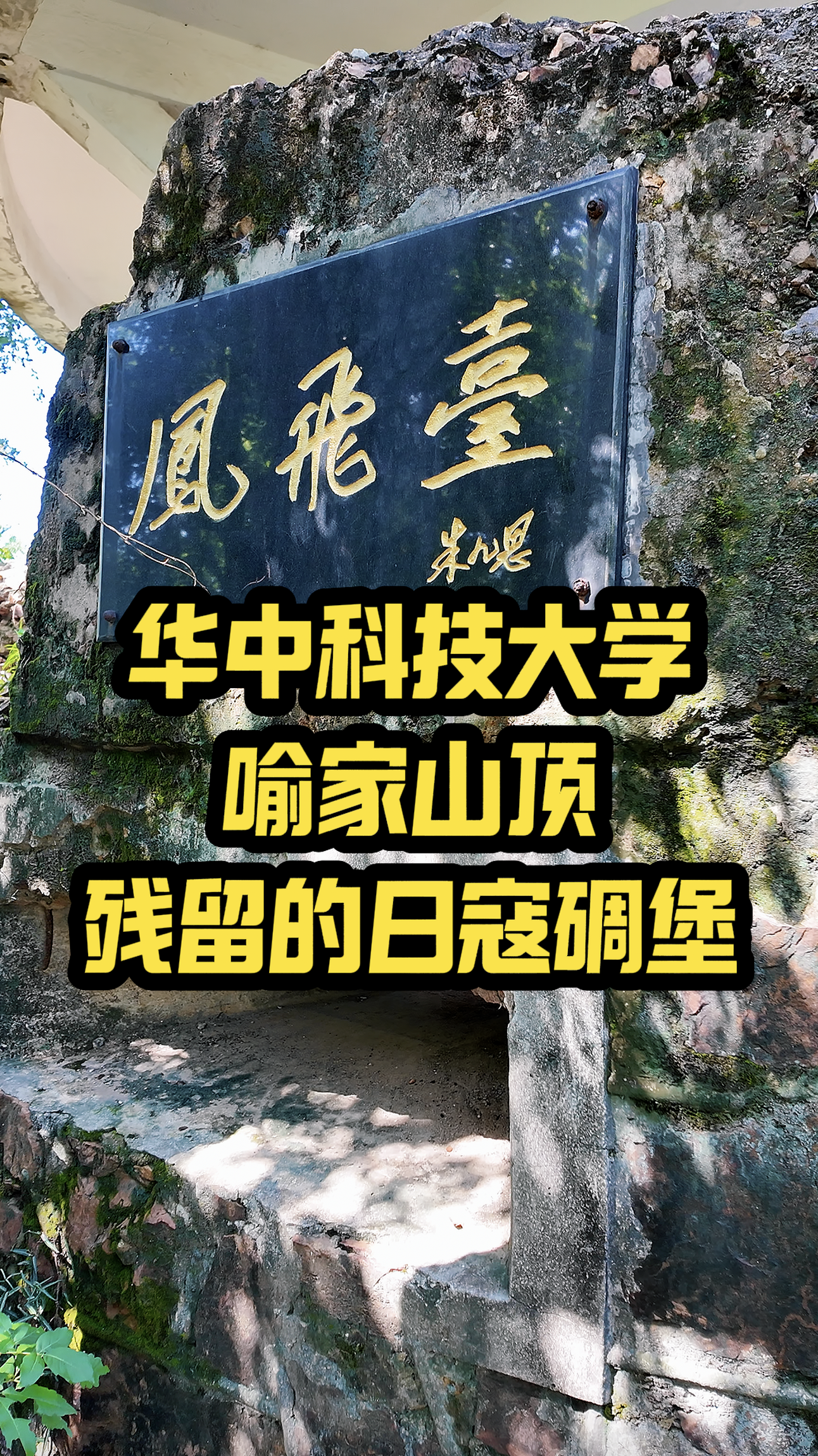 铁证如山！探访日寇遗留在华中科技大学校内的碉堡！