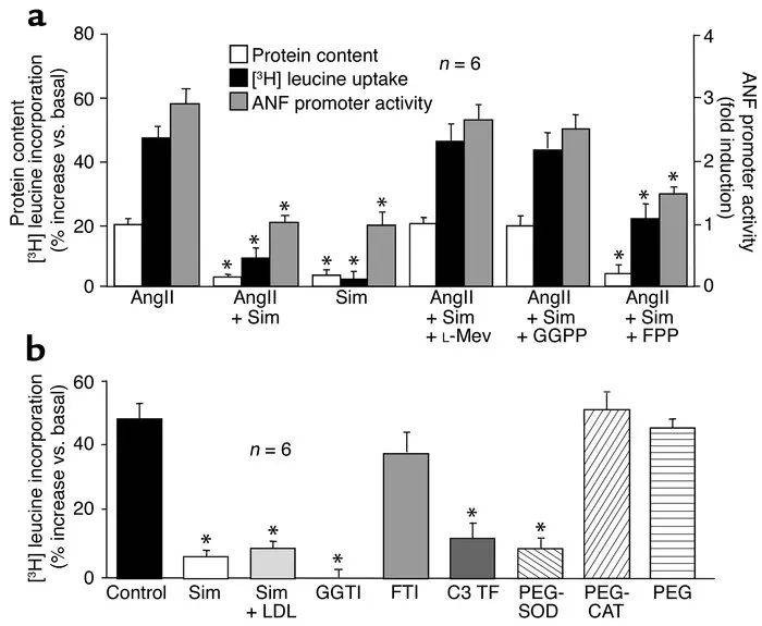 IITC大小鼠跑步机他汀类药物抗氧化作用对心肌细胞肥大的预防效果