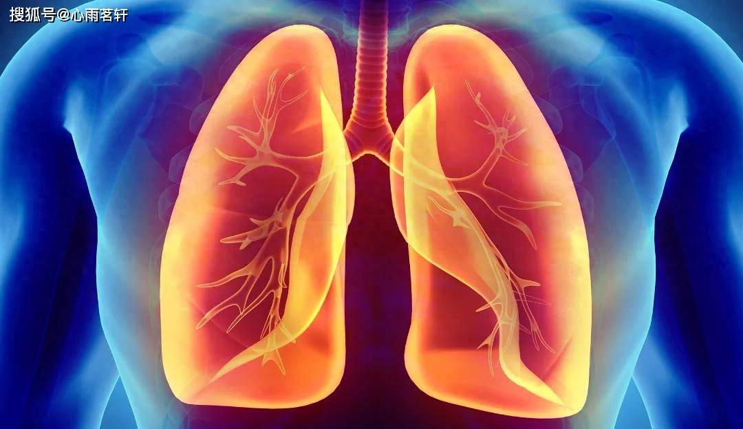 治疗肺癌的中成药有哪些？肺癌的治疗具体有哪些注意事项？