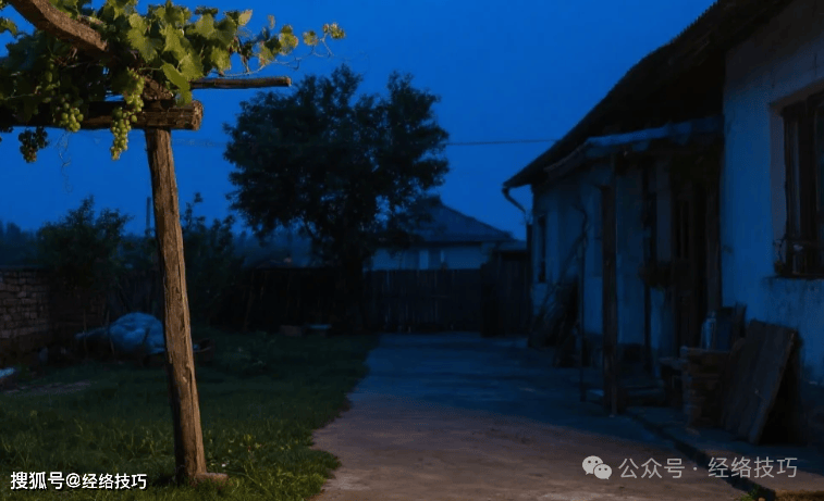 原创            出伏后吃葡萄，顺应时节滋养身体