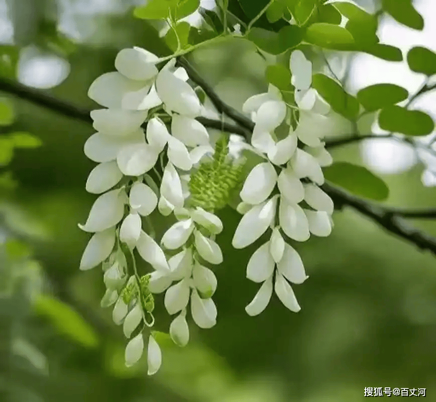 【古诗词鉴赏】明代诗人顾炎武《 精卫·万事有不平》诗赏析