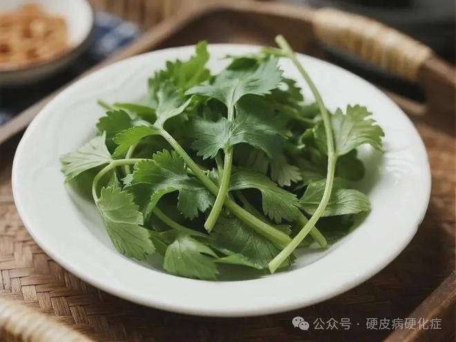 三伏前后，硬皮病患者多吃这3种绿色鲜蔬，肠胃好，舒舒坦坦过夏天！