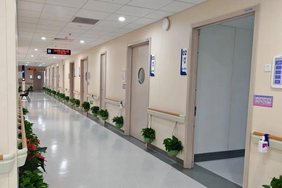 精准守护内分泌健康！北京安贞医院通州院区内分泌科一区病房正式启用