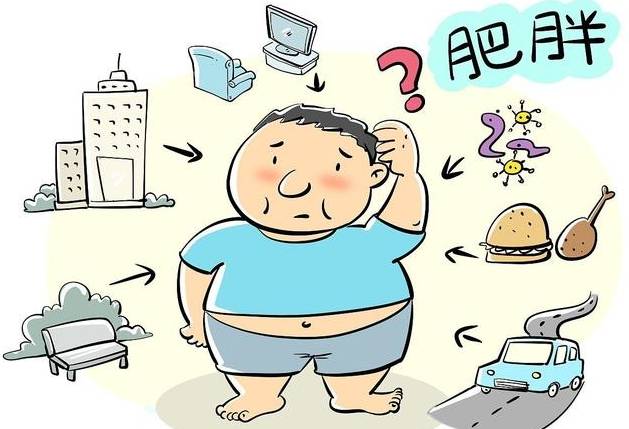 甄轻松：天气渐凉减重怎么吃才好?