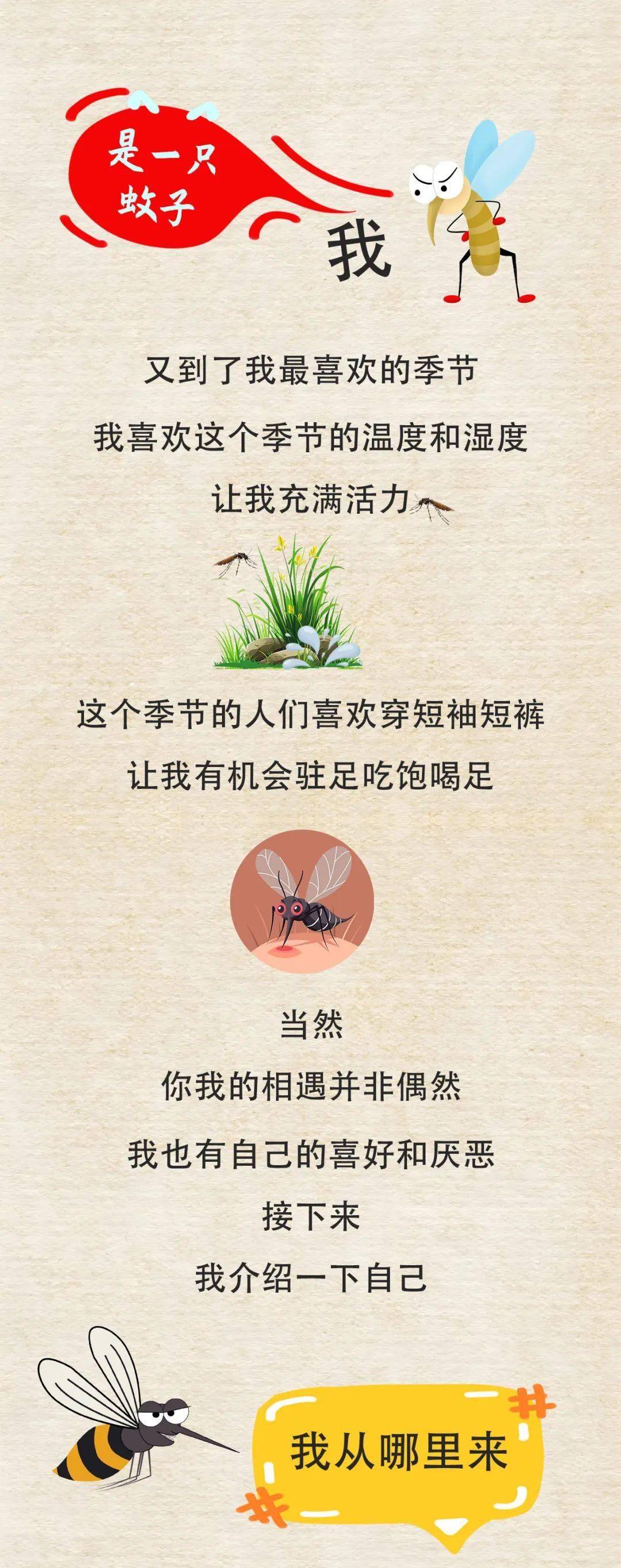 专家解读：强降雨后，如何防蚊虫叮咬