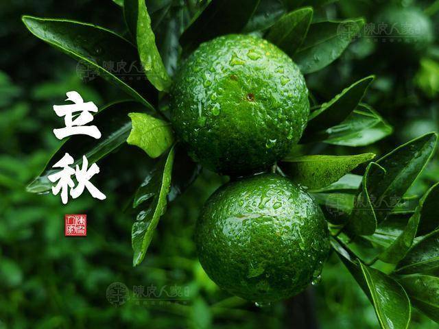 原创            陈皮食谱：立秋原是“长夏”！八月养生，别忘了照顾脾胃