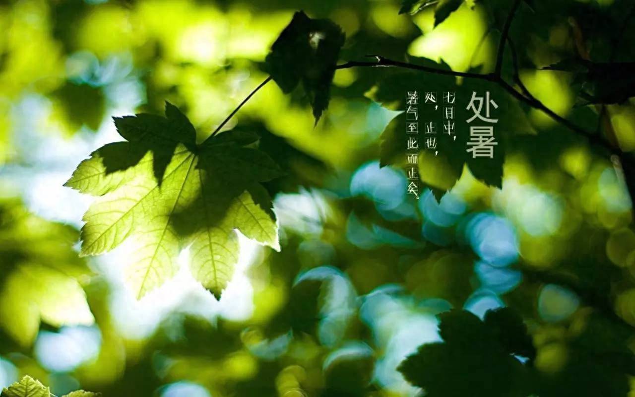 原创            今日处暑，再忙也别忘吃“1肉、2果、3菜”，健康秋补秋冬少生病