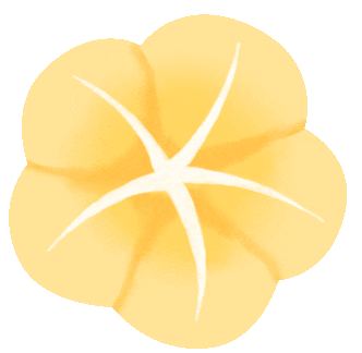 得了妇科炎症会有什么症状？应该采取什么样的措施？