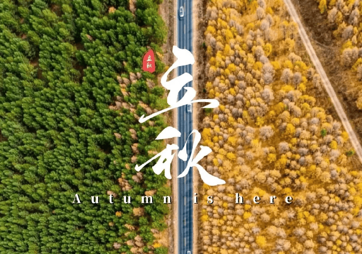 原创            明日立秋，牢记“吃三果、食三蔬、喝三茶”，打好基础准备入秋