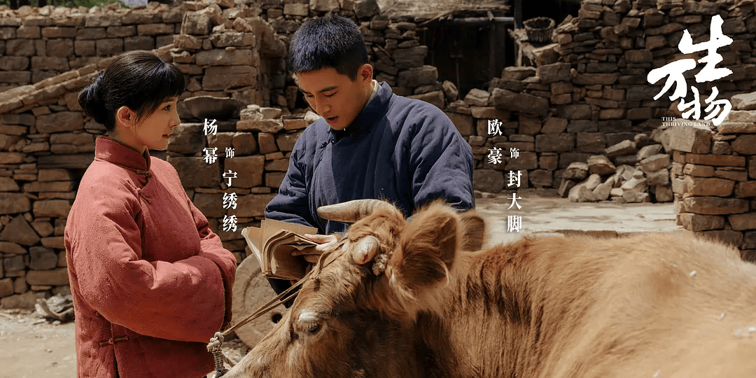 原创            暑期档剧集，终于诞生一部真正的“爆款”