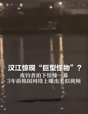 韩国汉江惊现巨型不明物体，长约6-10米，比人体还粗壮，三年前韩网曝出类似视频，后被