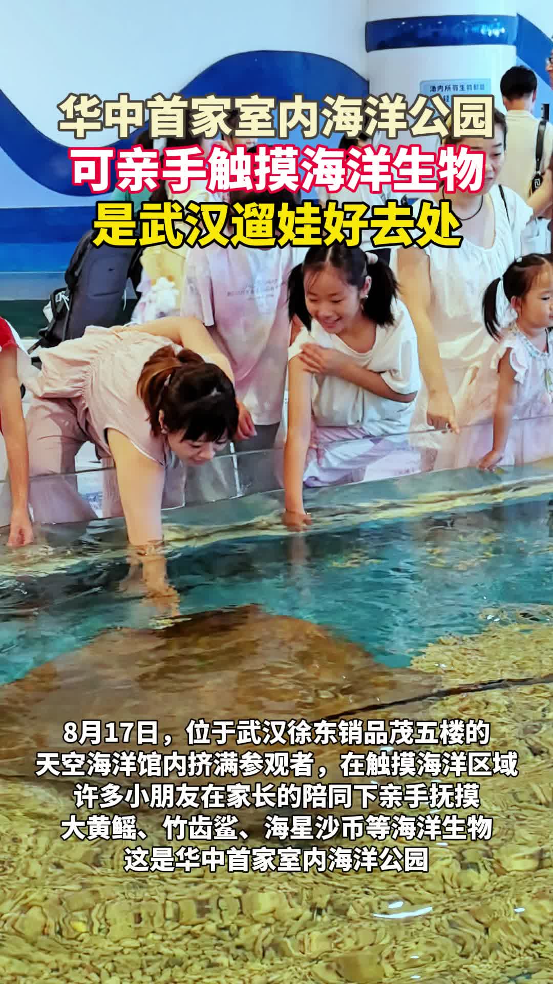 华中首家室内海洋公园，可亲手触摸海洋生物