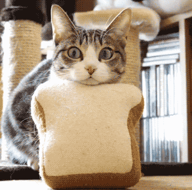 有人的颈椎是被手机搞死的，有人的是被枕头搞死的……