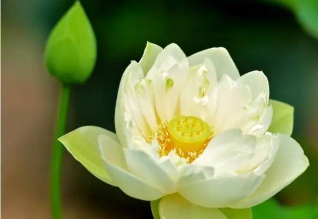 基层干部的AI运用三重境