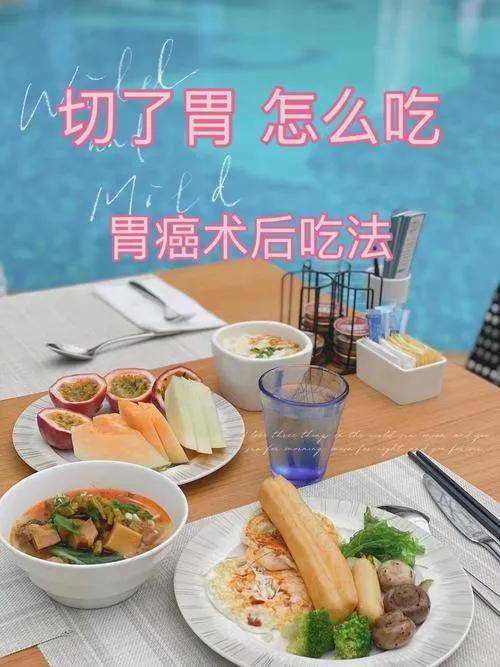 【肿瘤患者营养科普】--胃癌术后软食：科学进食，筑牢康复基石