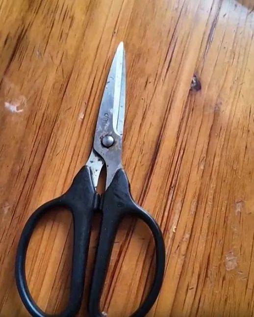 太突然！上海98岁阿婆拿起剪刀，一把剪掉头上的“角”！网友：对自己够狠