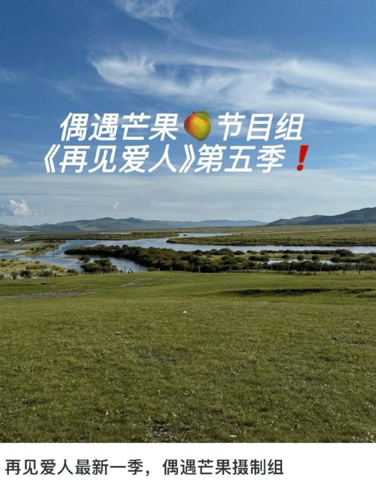 看热闹不嫌事大？《再见爱人5》开拍，网友积极推荐明星嘉宾