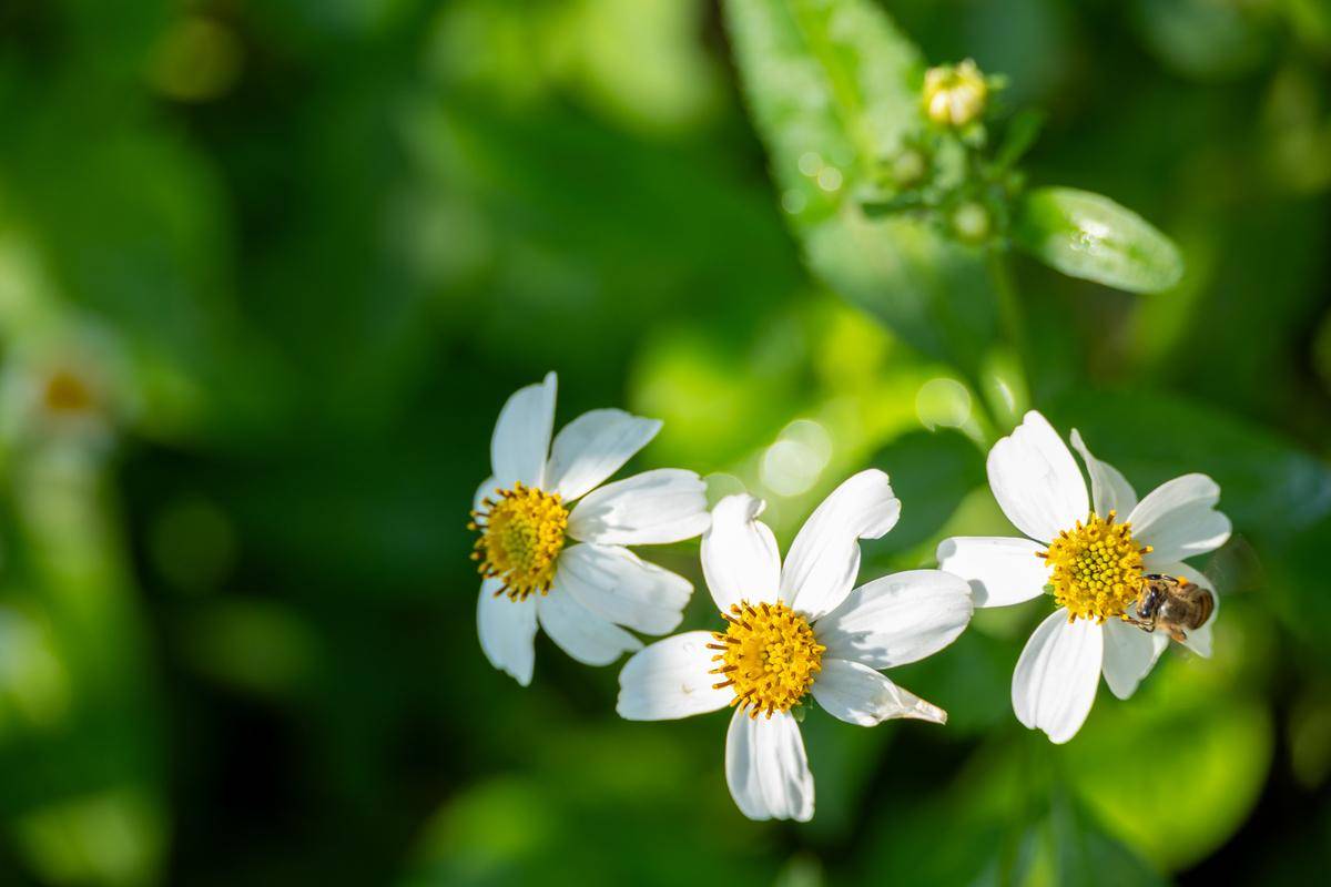 原创            男人不再爱你的4个表现