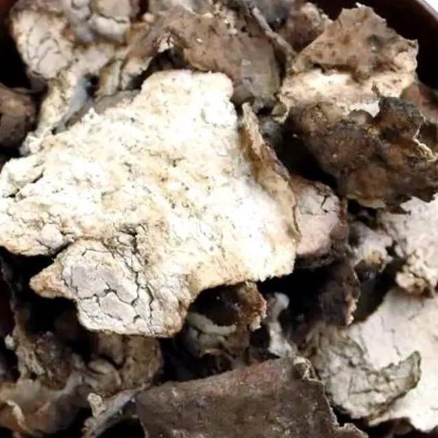 节气中蕴藏的中药冷知识
