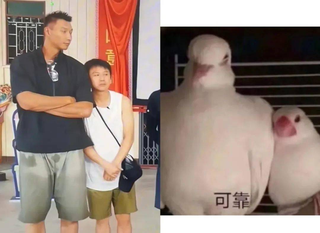 控制骨龄=控制身高？身高不是越高越好？真相是......