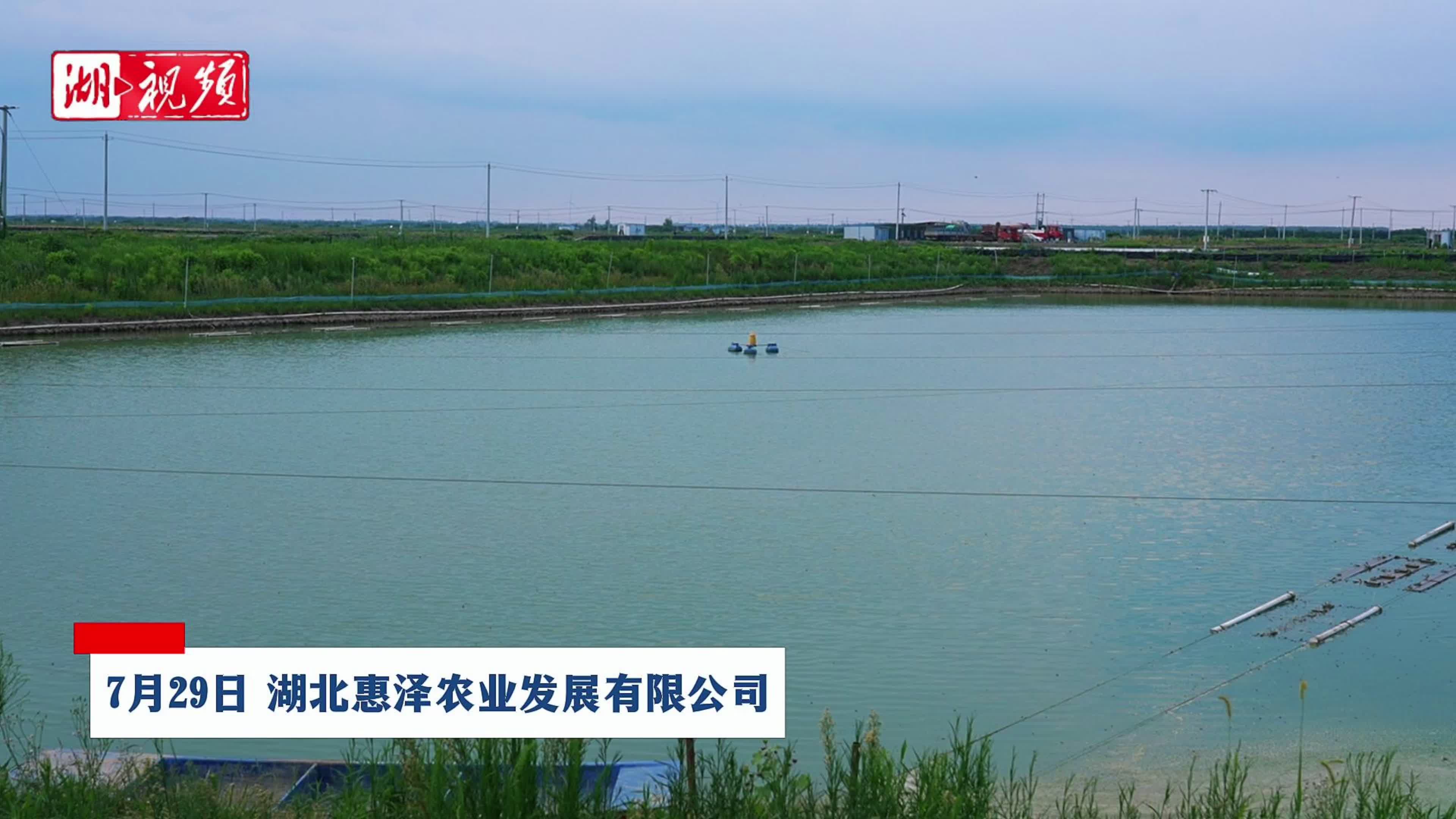 混养+循环  汉川解锁 “慧养鱼” 新密码