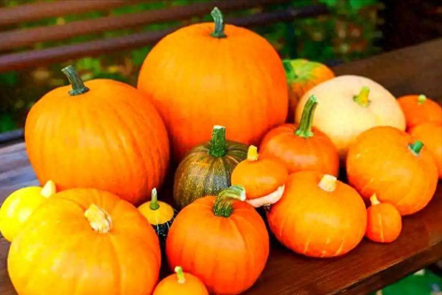 再这样吃南瓜，肾就废了？医生劝告：不注意这3点，是在给肾上刑