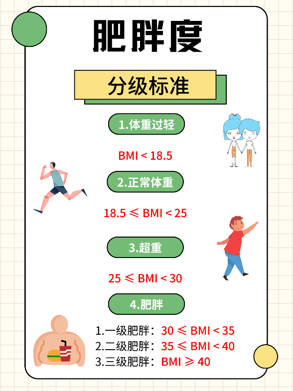 哈医大四院心脏预防与康复中心：科学减肥解锁健康“心”生活