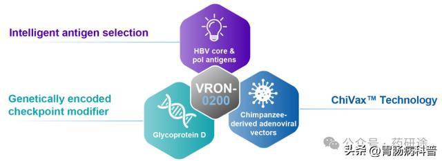 乙肝功能性治愈迎来新突破！VRON-0200临床数据亮眼！