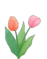 绝经后出血别忽视：可能是身体在“报警”