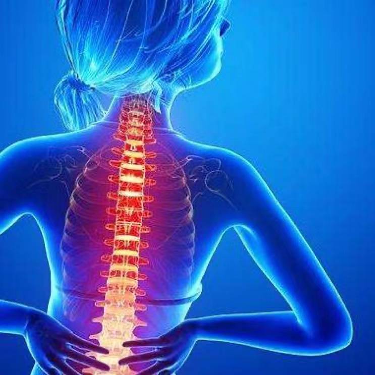 脊髓损伤康复师：用专业与耐心，帮患者 “找回生活的掌控感”