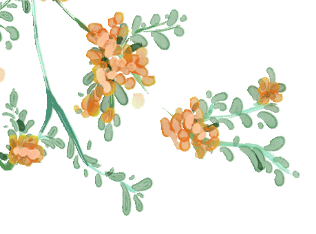 【饮食与健康】处暑节气养生饮食指南