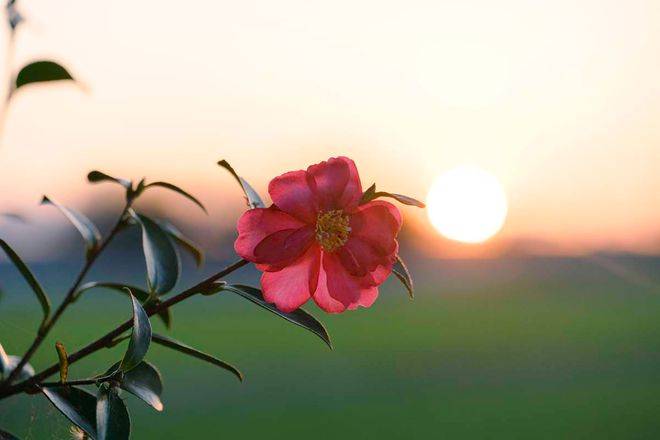 走出“浪浪山”，更要打破“心之墙”