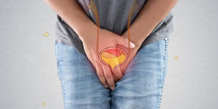 前列腺是男性独有的生命“腺