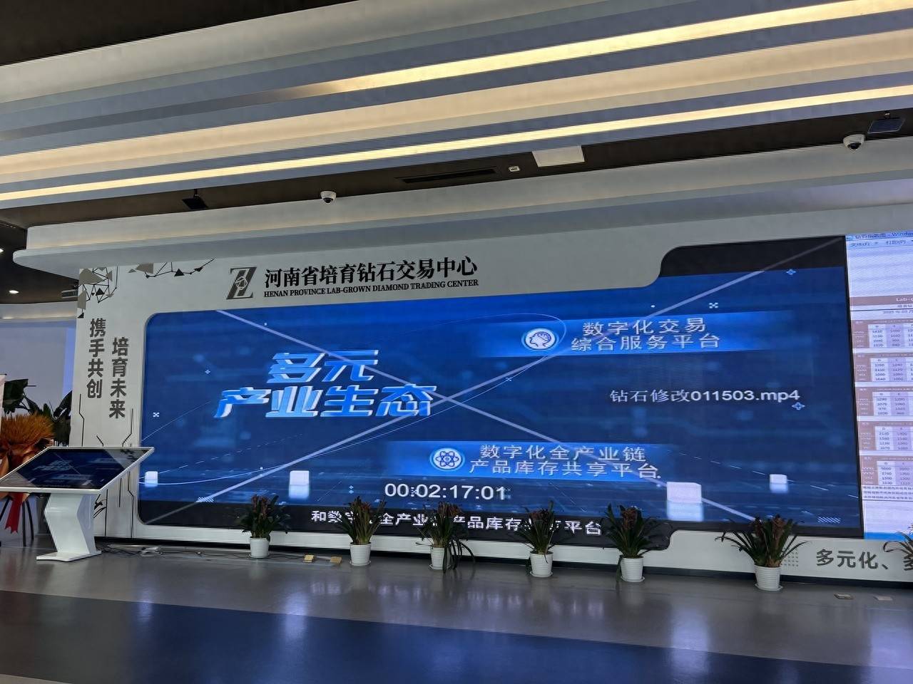 河南郑州打造培育钻石产业新高地