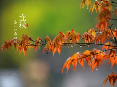 立秋将至，做好这几点，山西肛泰让肠胃安稳度秋