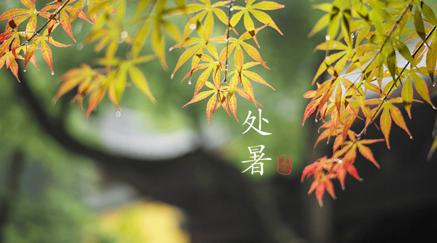 原创            “处暑不养，一年白忙”，明日处暑，记得多吃“3黄3白”，营养润燥好过秋