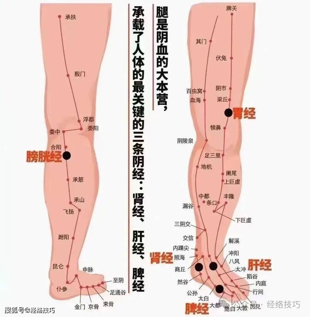原创            久坐腰部酸痛？试试靠墙的这两个动作